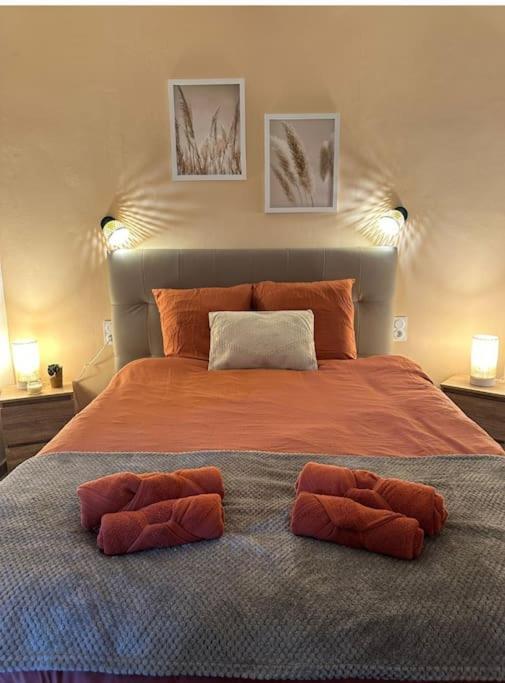 Centre De Cosy * Thuir